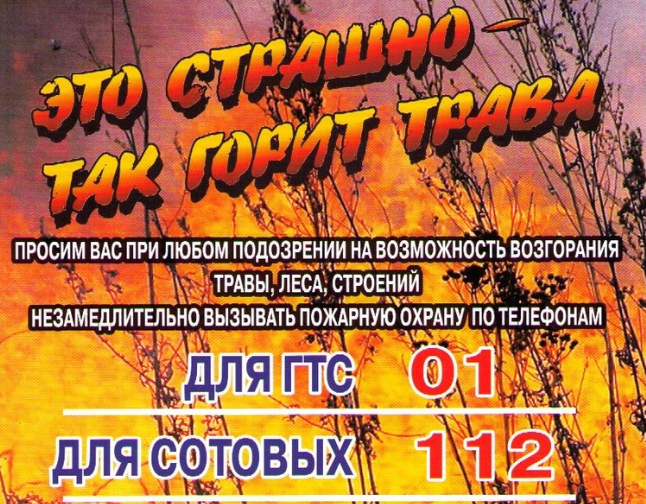 ПАМЯТКА Осторожно: сухая трава и мусор!. ПАМЯТКА Осторожно: сухая трава и мусор!.
